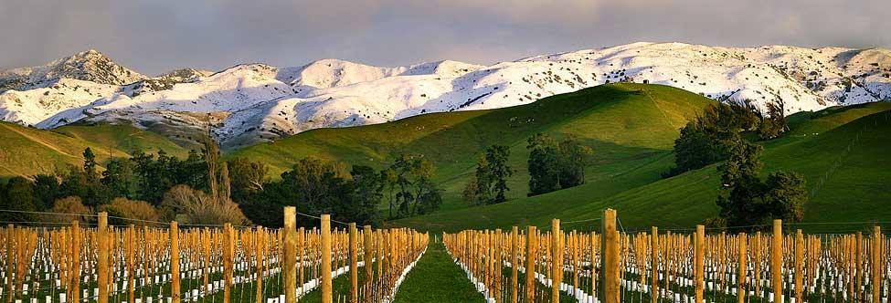 Marlborough Vintners Accommodation Blenheim Exteriör bild