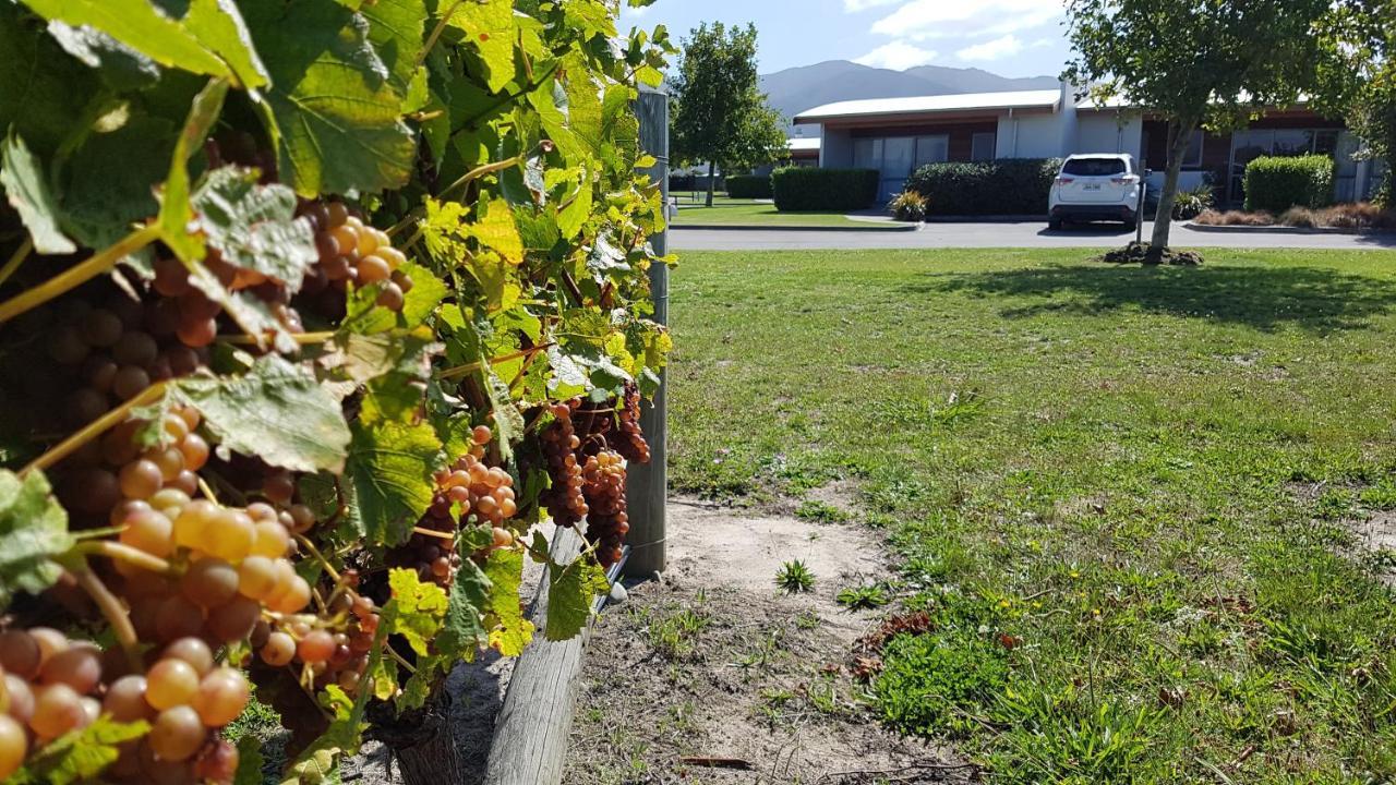 Marlborough Vintners Accommodation Blenheim Exteriör bild